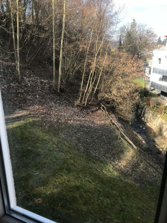 Gaestezimmer Am Oos Bach Baden-Baden Eksteriør billede